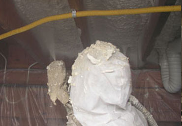Carson City Crawl Space Insulation