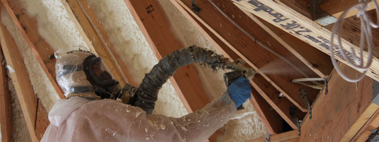 Carson City Nevada Attic Insulation Spray Foam